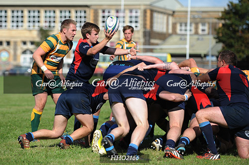 Old Illtydians RFC v Treharris Phoenix RFC