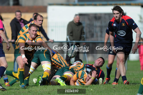 Old Illtydians RFC v Treharris Phoenix RFC