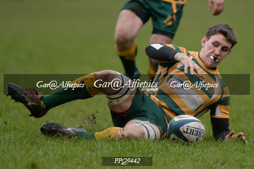 Penybanc RFC v Old Illtydians RFC