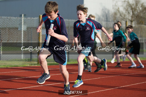 Carmarthen Harriers Inter School&#39;s Relay/800m Event
