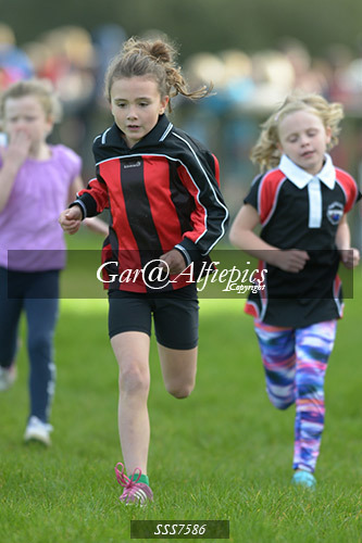 Year Three Girls Cross Country