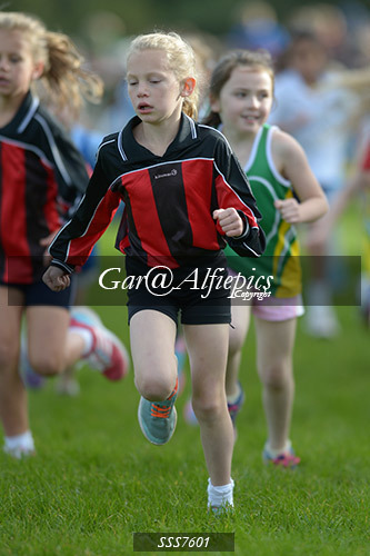 Year Three Girls Cross Country