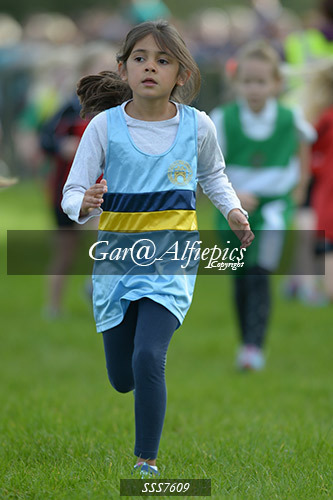 Year Three Girls Cross Country