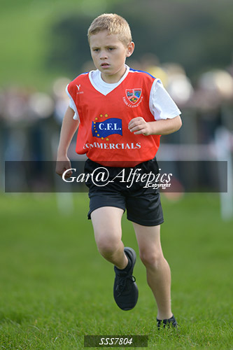 Year Four Girls Cross Country