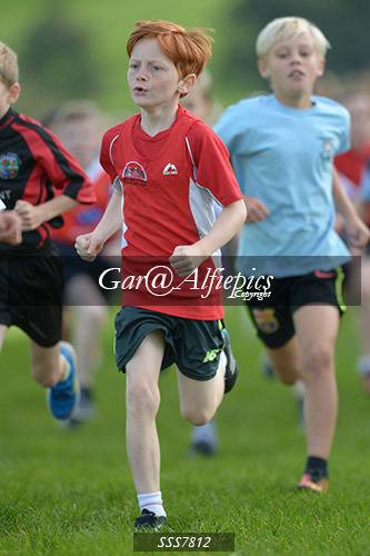Year Four Girls Cross Country