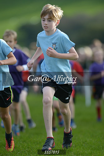 Year Four Girls Cross Country