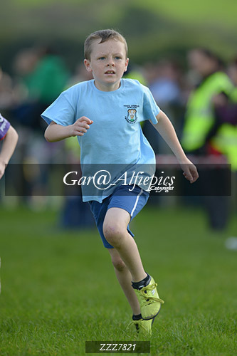 Year Four Girls Cross Country