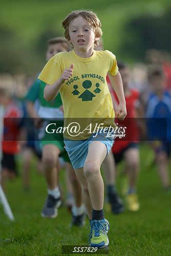 Year Four Girls Cross Country