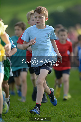 Year Four Girls Cross Country
