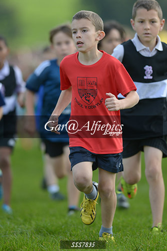 Year Four Girls Cross Country