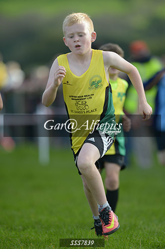 Year Four Girls Cross Country