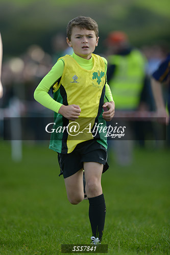 Year Four Girls Cross Country