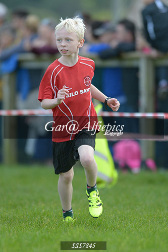Year Four Girls Cross Country