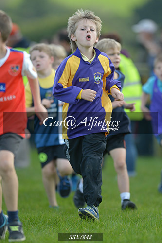 Year Four Girls Cross Country