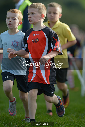 Year Four Girls Cross Country