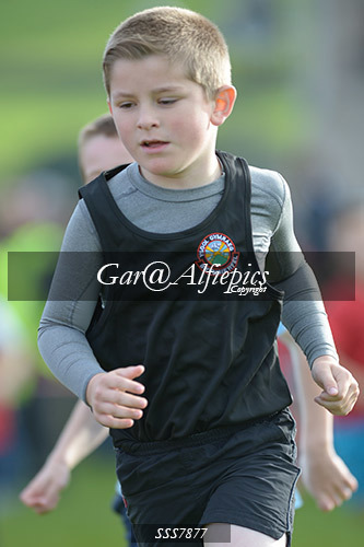 Year Four Girls Cross Country