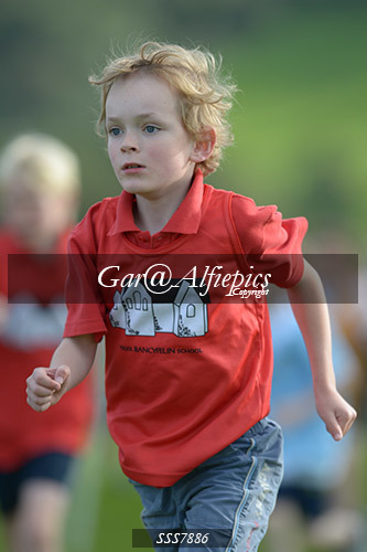 Year Four Girls Cross Country
