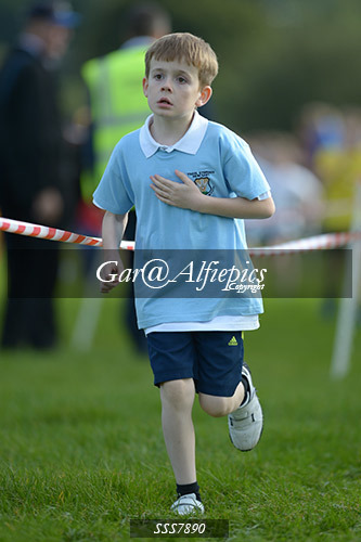 Year Four Girls Cross Country