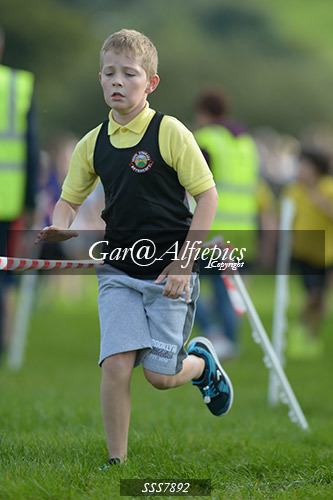 Year Four Girls Cross Country