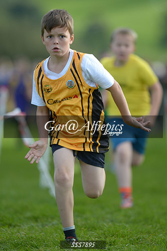 Year Four Girls Cross Country