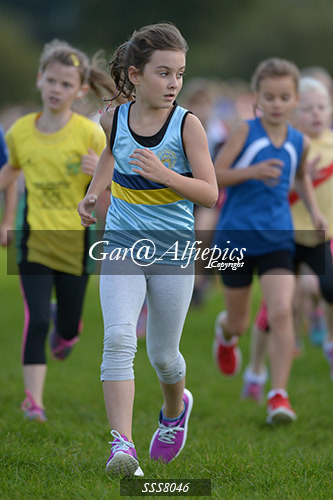 Year Four Girls Cross Country