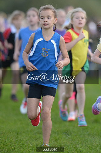 Year Four Girls Cross Country
