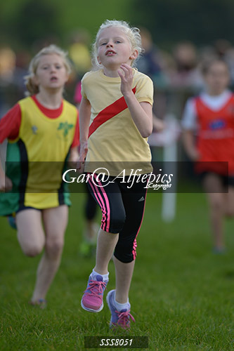 Year Four Girls Cross Country