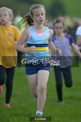Year Four Girls Cross Country