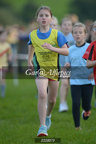Year Four Girls Cross Country