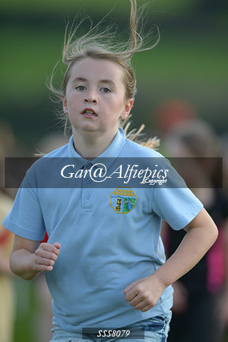 Year Four Girls Cross Country