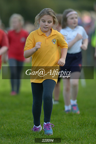 Year Four Girls Cross Country