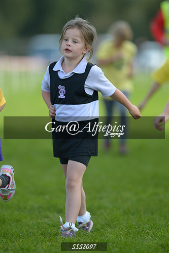 Year Four Girls Cross Country