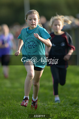 Year Four Girls Cross Country
