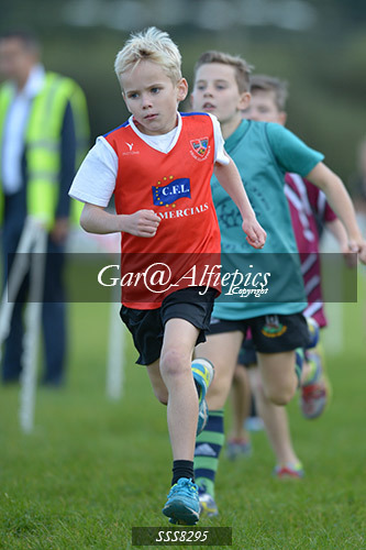 Year Five Boys Cross Country