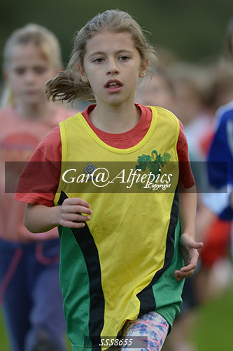 Year Five Girls Cross Country