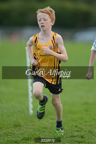 Year Six Boys Cross Country