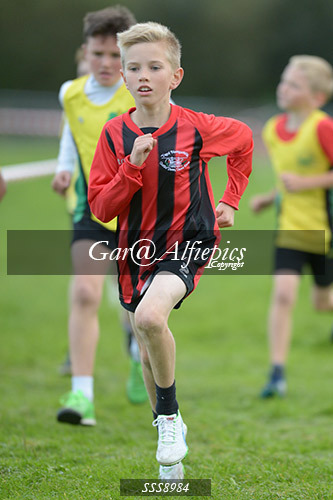 Year Six Boys Cross Country