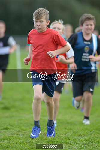 Year Six Boys Cross Country