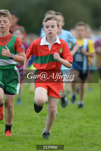 Year Six Boys Cross Country
