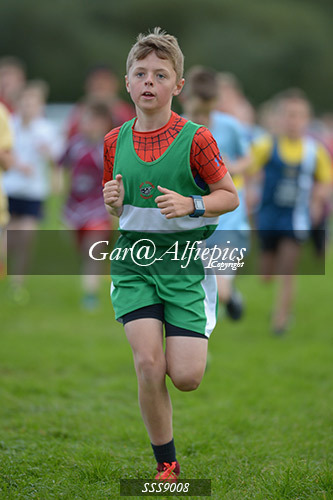 Year Six Boys Cross Country