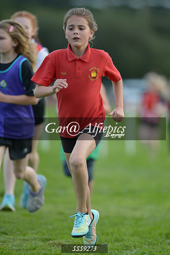 Year Six Girls Cross Country