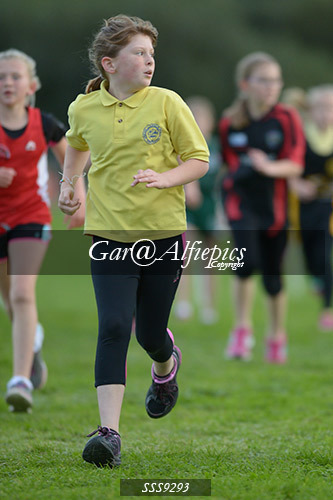Year Six Girls Cross Country