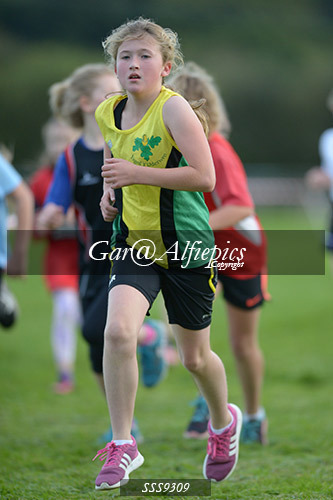 Year Six Girls Cross Country