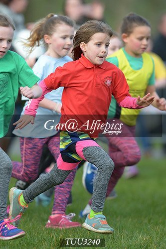 Dyfed Primary Schools Cross Country Year 3 Girls
