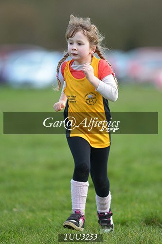 Dyfed Primary Schools Cross Country Year 3 Girls