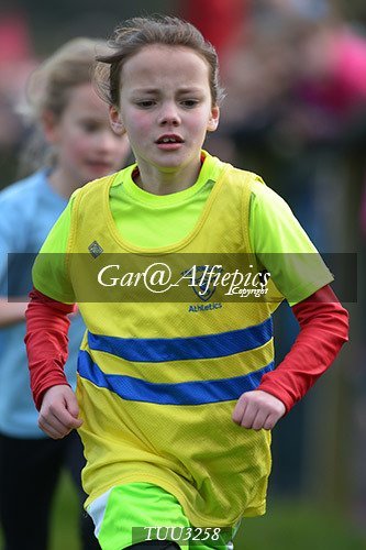 Dyfed Primary Schools Cross Country Year 3 Girls