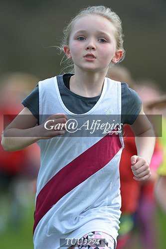 Dyfed Primary Schools Cross Country Year 3 Girls