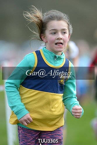 Dyfed Primary Schools Cross Country Year 3 Girls