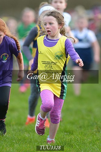 Dyfed Primary Schools Cross Country Year 3 Girls