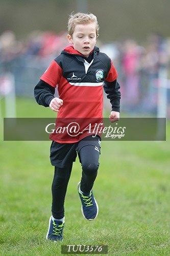 Dyfed Primary Schools Cross Country Year 3 Boys